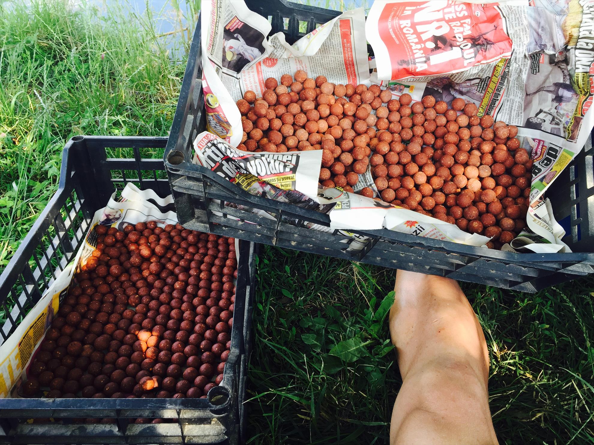 Moara Vlasiei 2 \26 - 28 iunie 2015 - fullsizerender3.jpg